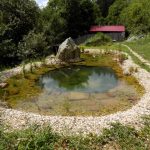 zahradni-specialista.cz_OFF_8 tipů, jak využít kámen v zahradě_08_jezirka